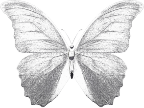 3D Y2K Butterfly